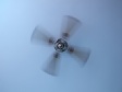 Ceiling Fan (1).jpg